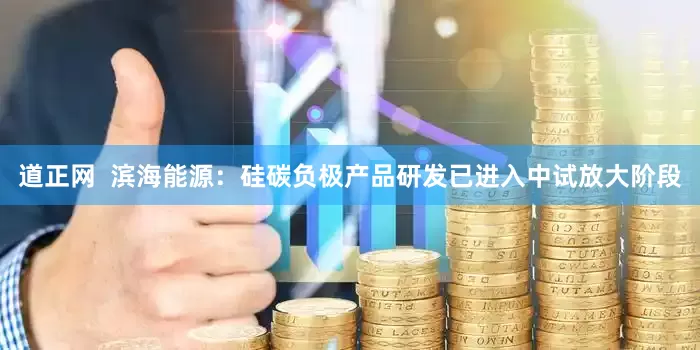 道正网  滨海能源：硅碳负极产品研发已进入中试放大阶段