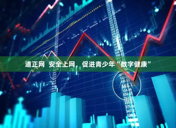 道正网  安全上网，促进青少年“数字健康”