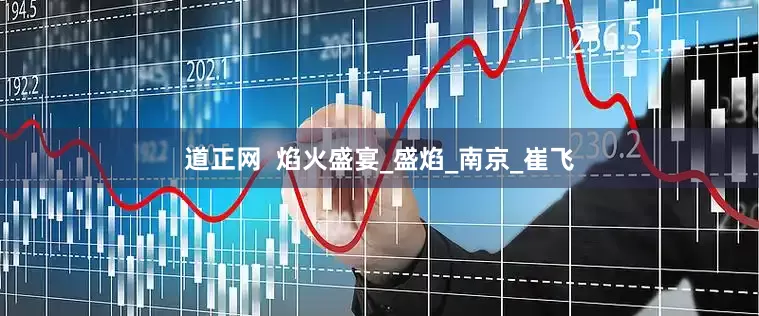道正网  焰火盛宴_盛焰_南京_崔飞