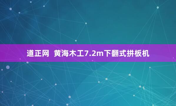 道正网  黄海木工7.2m下翻式拼板机
